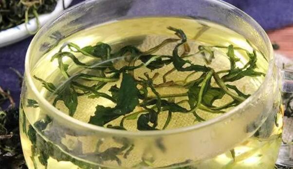 喝蒲公英茶禁忌人群(1)