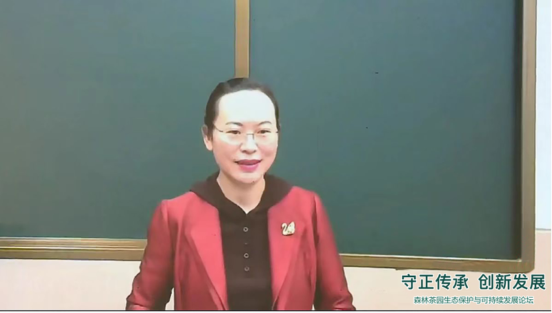 关于森林茶园生态保护与可持续发展论坛在西双版纳勐海县成功举办的相关内容(3)