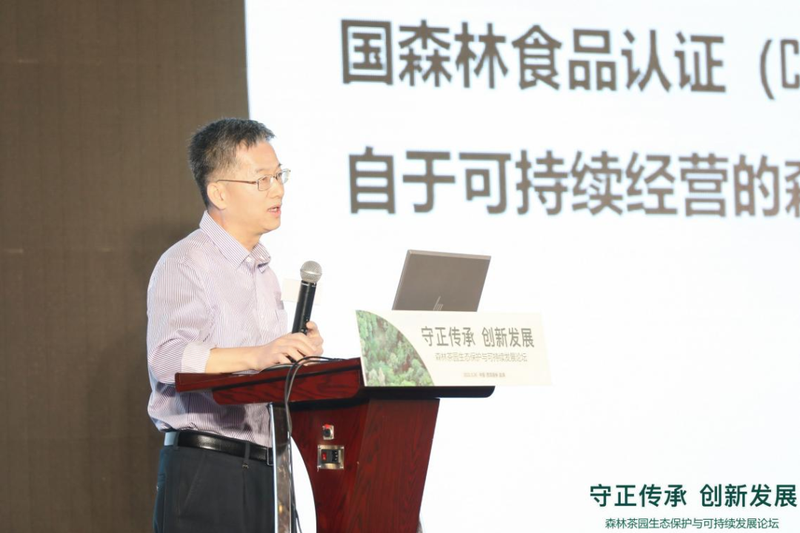 关于森林茶园生态保护与可持续发展论坛在西双版纳勐海县成功举办的相关内容(4)