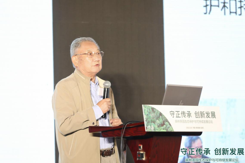 关于森林茶园生态保护与可持续发展论坛在西双版纳勐海县成功举办的相关内容(1)