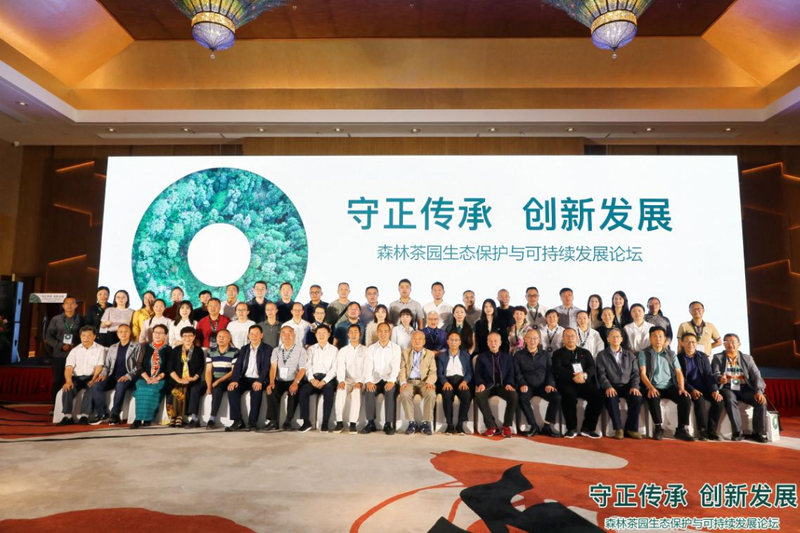 关于森林茶园生态保护与可持续发展论坛在西双版纳勐海县成功举办的相关内容