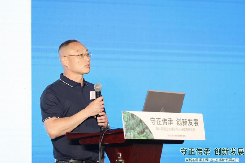 关于森林茶园生态保护与可持续发展论坛在西双版纳勐海县成功举办的相关内容(2)