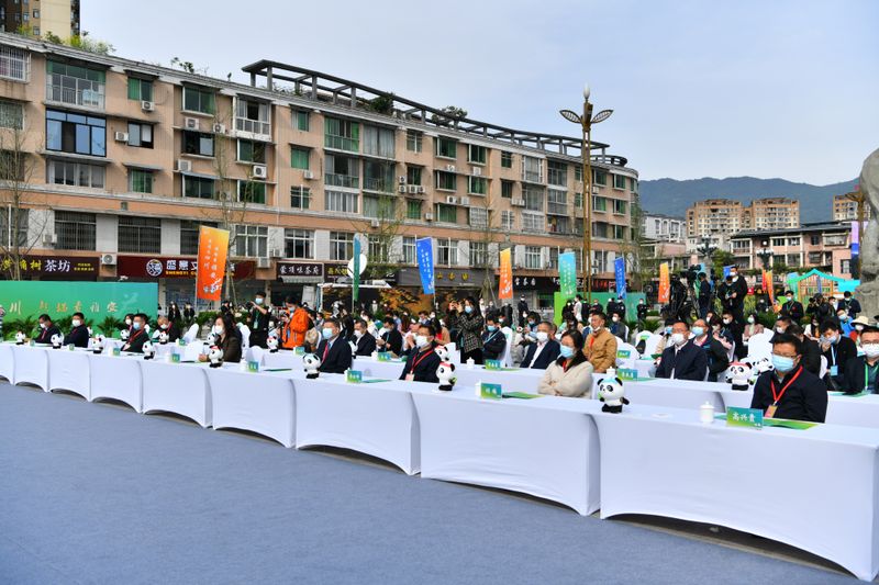 有关于“做响雅茶品牌·振兴雅茶产业”——2022年春季蒙顶山茶产品营销新闻通气会在四川雅安举行的相关内容(3)