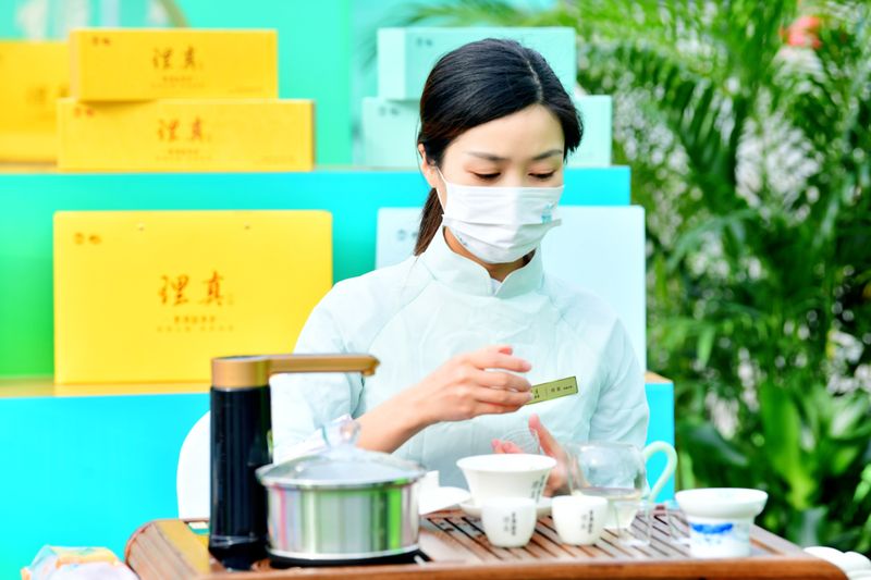 有关于“做响雅茶品牌·振兴雅茶产业”——2022年春季蒙顶山茶产品营销新闻通气会在四川雅安举行的相关内容(11)