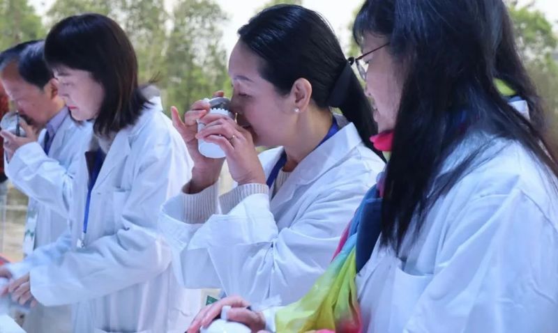 关于推广制作技艺 推动技能提升 2022年“蒙顶甘露杯”第三届斗茶大赛举行的消息(2)