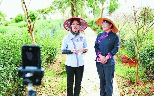 关于疫情之下的第三个春茶季，产区茶人面临着哪些机遇与挑战？的最新消息(5)
