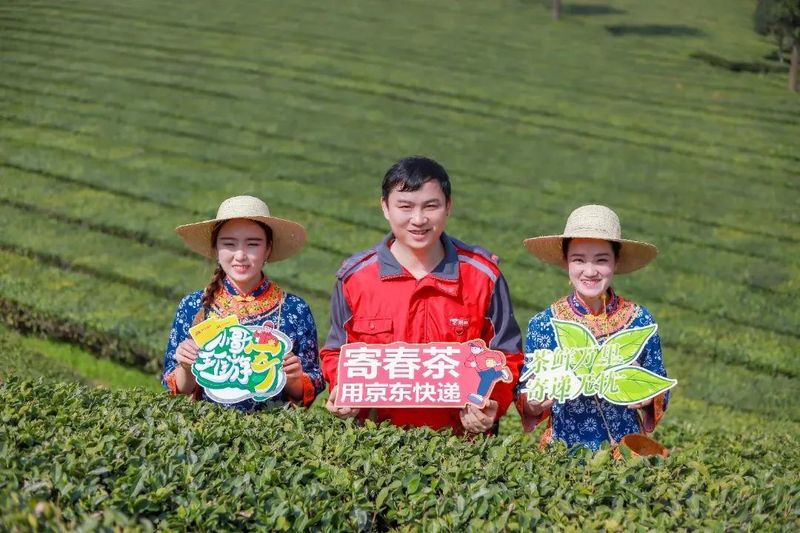 关于疫情之下的第三个春茶季，产区茶人面临着哪些机遇与挑战？的最新消息(9)