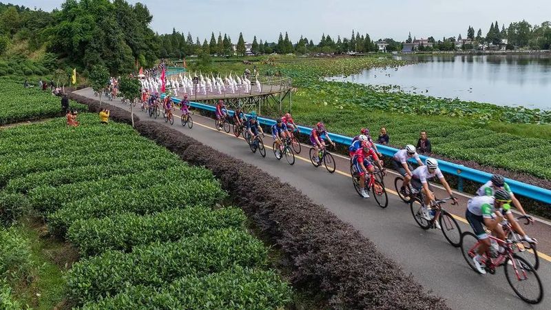 有关于36位茶史专家头脑风暴，倡议蒙顶山申报世界文化遗产的内容(2)