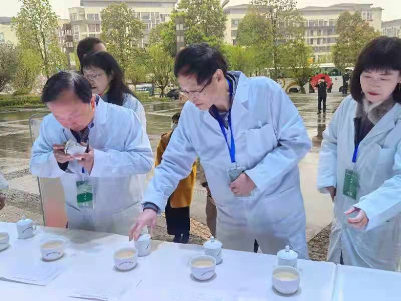 关于2022年“蒙顶甘露杯”第三届斗茶大赛圆满举行的内容(5)