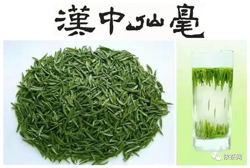 有关于汉中市举办汉中仙毫标准化加工现场培训会的内容(4)
