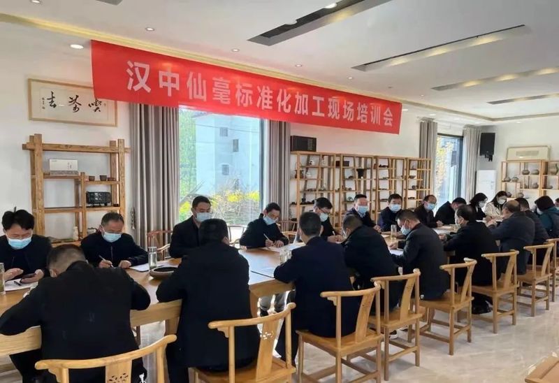 有关于汉中市举办汉中仙毫标准化加工现场培训会的内容