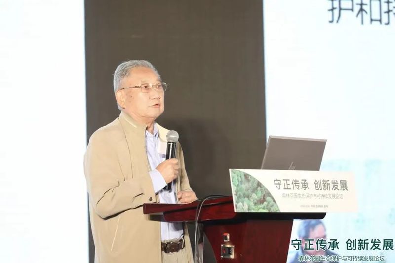 关于“守正传承 创新发展” 森林茶园生态保护与可持续发展论坛的相关信息(11)