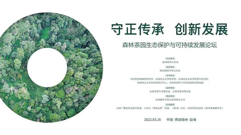 关于“守正传承 创新发展” 森林茶园生态保护与可持续发展论坛的相关信息