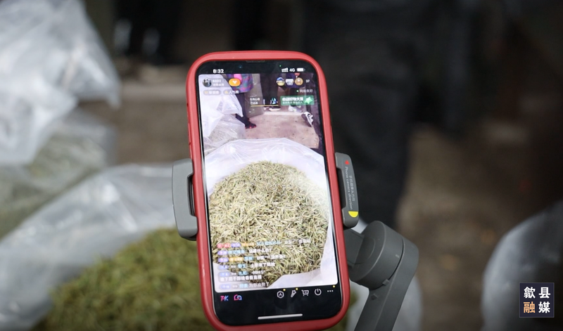 有关于歙县春茶上市交易忙 价格较去年略有上涨的最新消息(7)