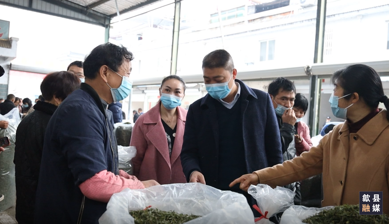 有关于歙县春茶上市交易忙 价格较去年略有上涨的最新消息(8)