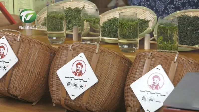 有关于春茶开采 茶企全面复工的资讯(2)