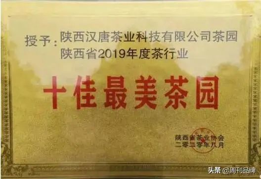 有关于2022汉唐茗门之秀春茶品鉴会在陕西勉县举办的新闻(16)
