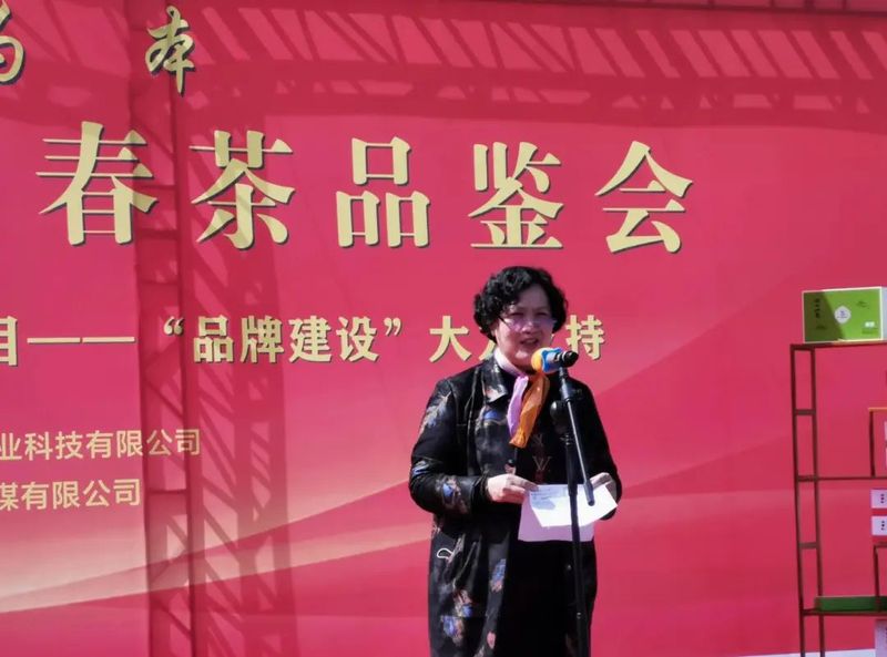 有关于2022汉唐茗门之秀春茶品鉴会在陕西勉县举办的新闻(7)