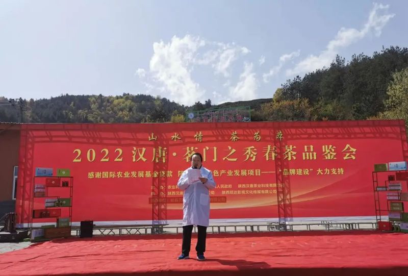 有关于2022汉唐茗门之秀春茶品鉴会在陕西勉县举办的新闻(10)