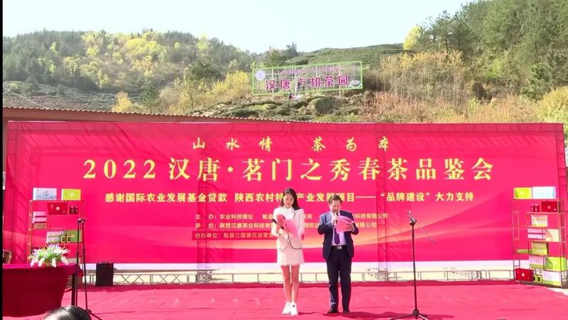 有关于2022汉唐茗门之秀春茶品鉴会在陕西勉县举办的新闻(5)