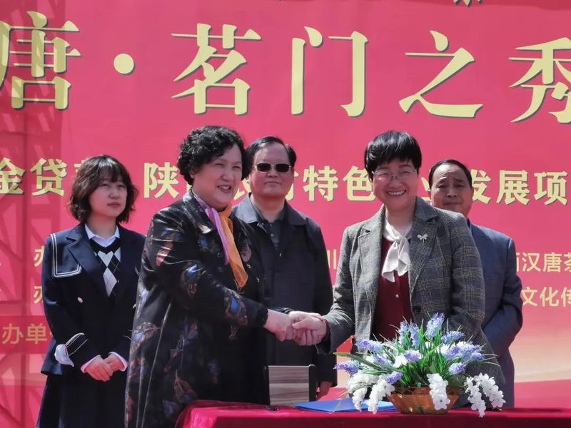 有关于2022汉唐茗门之秀春茶品鉴会在陕西勉县举办的新闻(9)