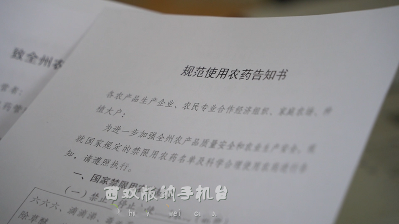 关于从鲜叶源头把住质量安全关 西双版纳州茶叶质量安全专项整治在行动的消息(17)