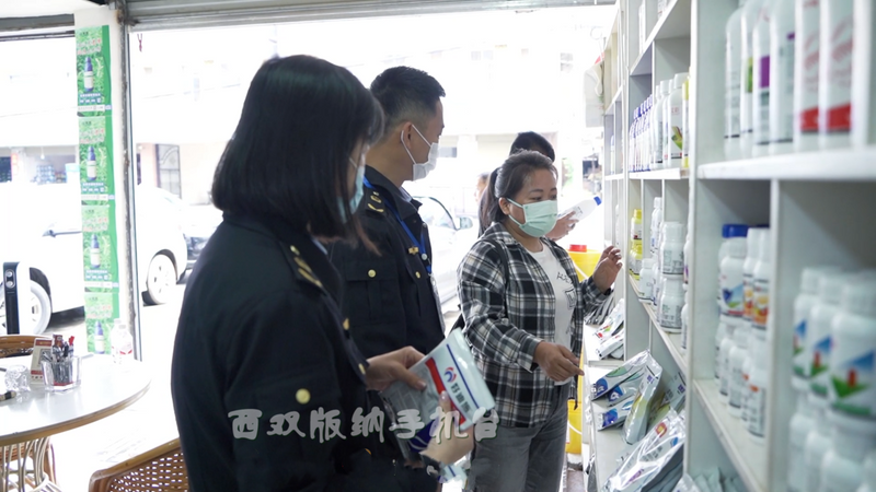 关于从鲜叶源头把住质量安全关 西双版纳州茶叶质量安全专项整治在行动的消息(11)