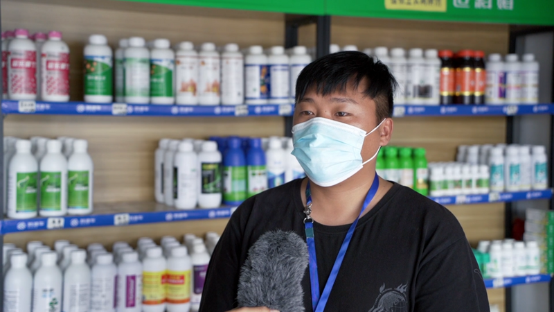 关于从鲜叶源头把住质量安全关 西双版纳州茶叶质量安全专项整治在行动的消息(15)