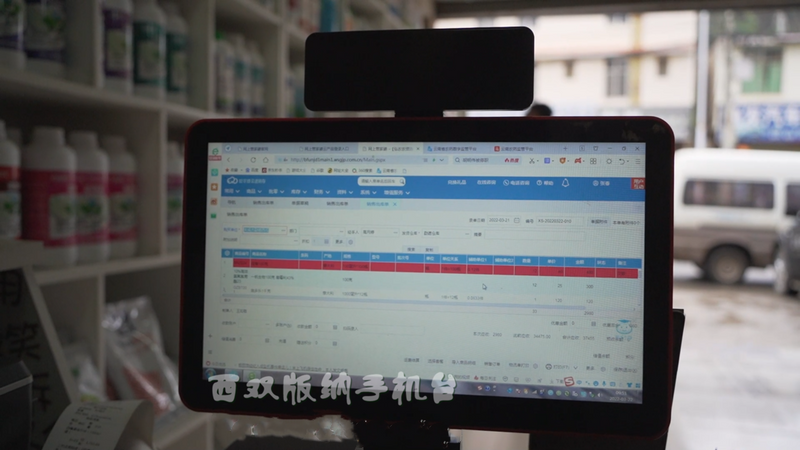 关于从鲜叶源头把住质量安全关 西双版纳州茶叶质量安全专项整治在行动的消息(14)