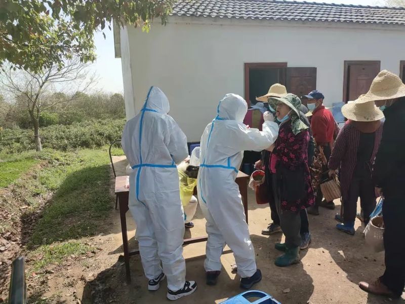 有关于常州溧阳: 防控生产两不误,茶园春光采茶忙的消息