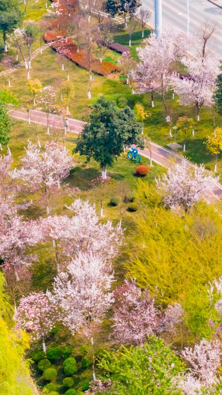 有关于湄潭:春色满园,翠芽飘香!的新闻(4)