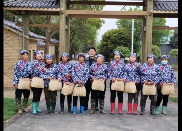 有关于扬州市,明前采茶忙 春暖茶飘香的相关信息(2)