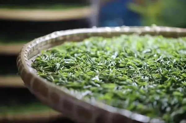 有关于扬州市,明前采茶忙 春暖茶飘香的相关信息(1)