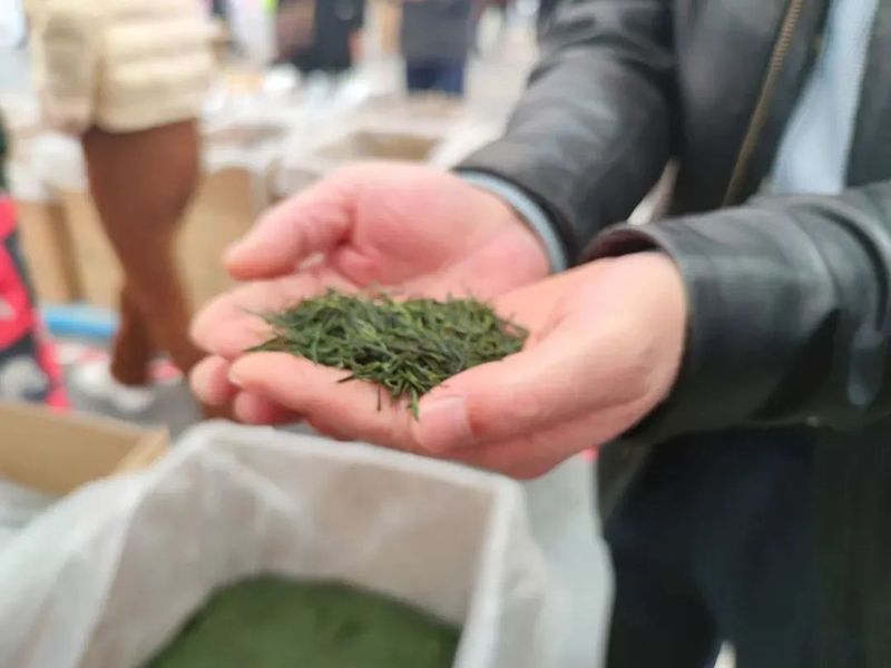 有关于春茶不可负!2022武陵山春茶交易正式开市!的相关内容(9)