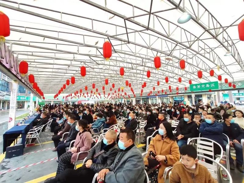 有关于春茶不可负!2022武陵山春茶交易正式开市!的相关内容(1)