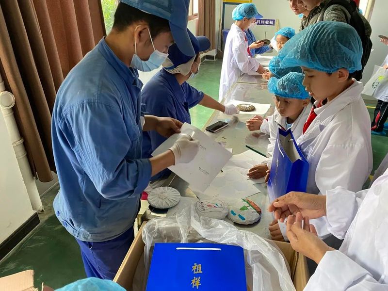 关于“寻茶之香韵 研茶之文化”——思茅四小开展有机茶园研学实践活动的信息(16)