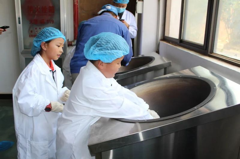 关于“寻茶之香韵 研茶之文化”——思茅四小开展有机茶园研学实践活动的信息(12)