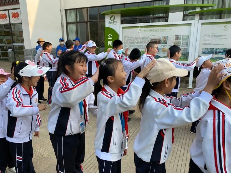 关于“寻茶之香韵 研茶之文化”——思茅四小开展有机茶园研学实践活动的信息(2)