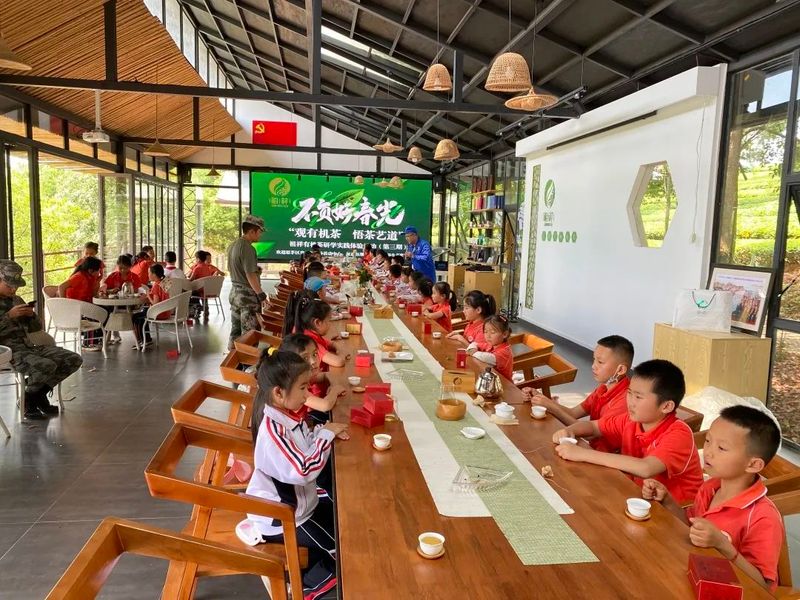 关于“寻茶之香韵 研茶之文化”——思茅四小开展有机茶园研学实践活动的信息(22)
