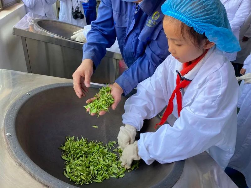 关于“寻茶之香韵 研茶之文化”——思茅四小开展有机茶园研学实践活动的信息(18)