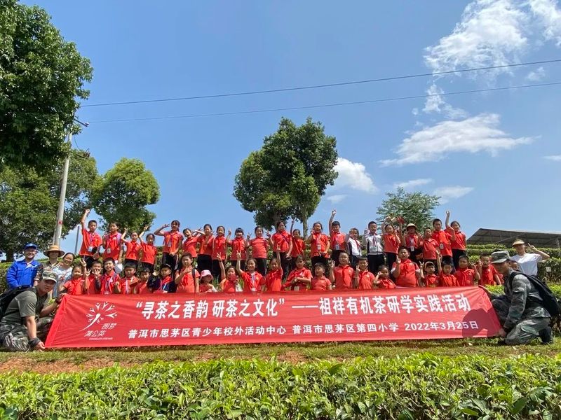 关于“寻茶之香韵 研茶之文化”——思茅四小开展有机茶园研学实践活动的信息(25)