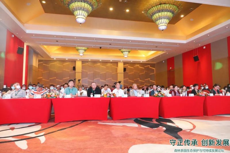 有关于“疫情下的春茶季”“湖北产茶主产区”“春茶采摘指数”“福鼎白茶身份证”的信息(7)