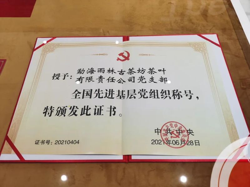 有关于云南省普洱茶协会走进勐海-调研走访部分会员单位的资讯(13)