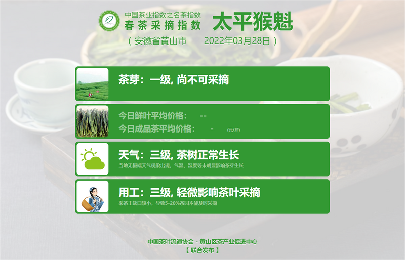 关于春茶采摘指数:黄山毛峰进入三级采摘期,信阳毛尖进入二级采摘期的新闻(8)
