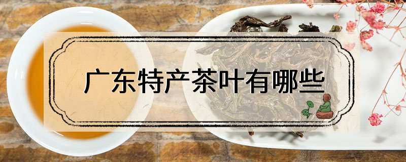 广东特产茶叶有哪些