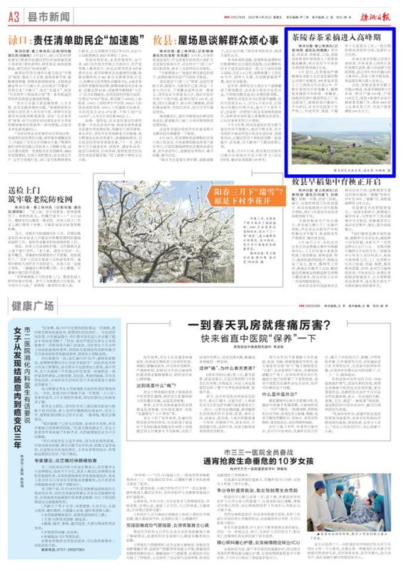 有关于茶陵县春茶采摘进入高峰期的新闻(1)