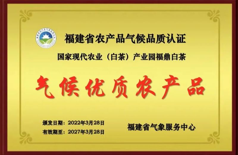 有关于“福鼎白茶” 有了“气候身份证”!的资讯