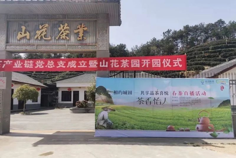 关于城固县举办“相约城固-共享品茶喜悦”直播带货活动的信息