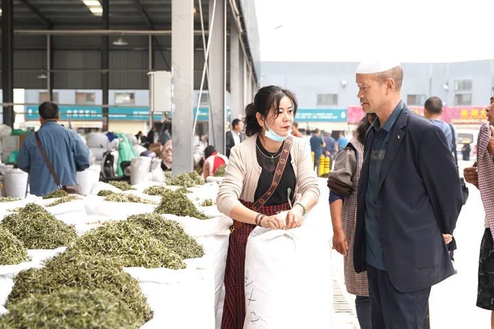 关于普洱国际茶城:春茶新上市 交易热起来的信息(5)