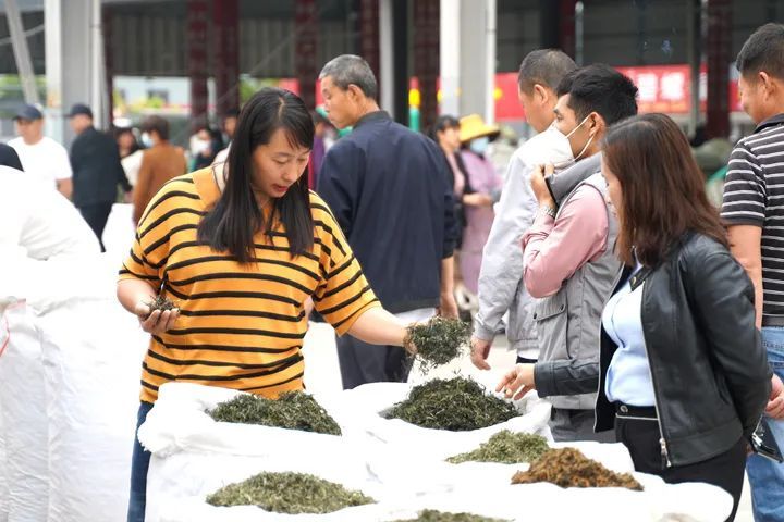 关于普洱国际茶城:春茶新上市 交易热起来的信息(1)